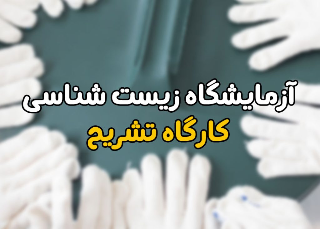 Biology Laboratory, Dissection Workshop