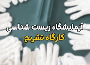 Biology Laboratory, Dissection Workshop